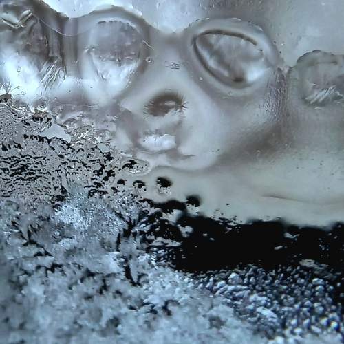 Photo #13347138