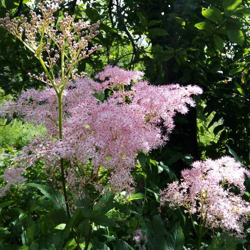 Photo #13347233