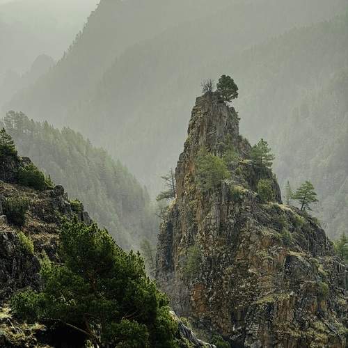 Photo #13347245