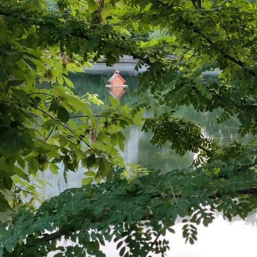 Photo #13347315