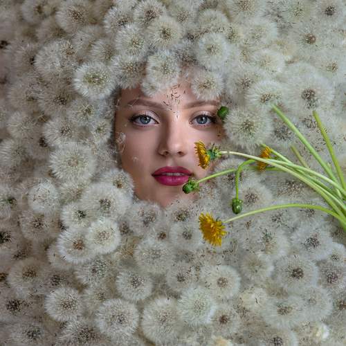 Photo #13347318