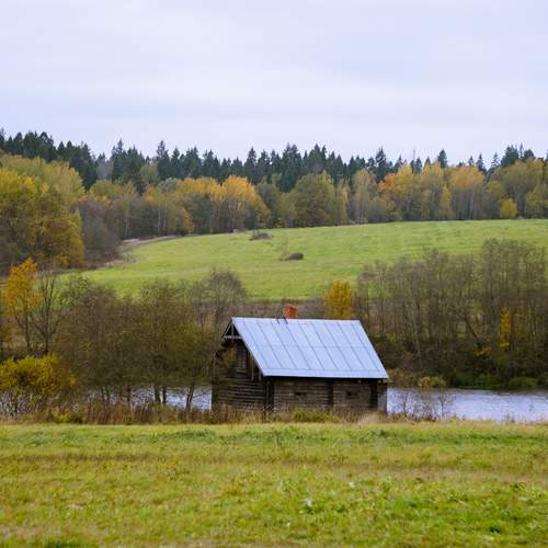 Photo #13347346