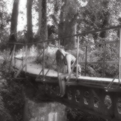 Photo #13347375