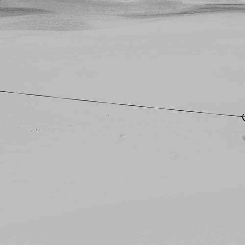 Кто рано встает, у того собака