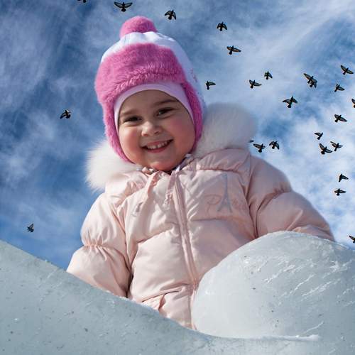 Photo #13347520