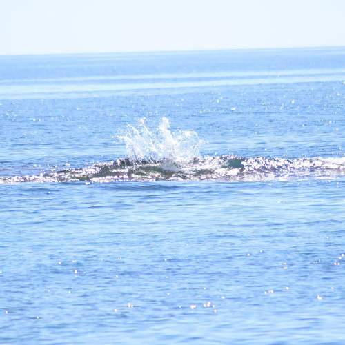 Photo #13347546