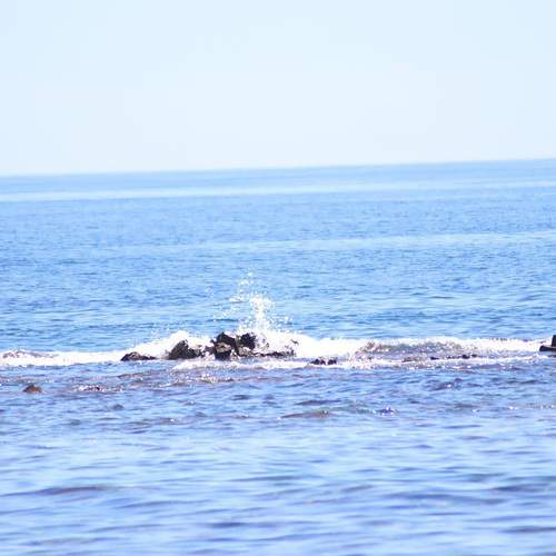 Photo #13347547