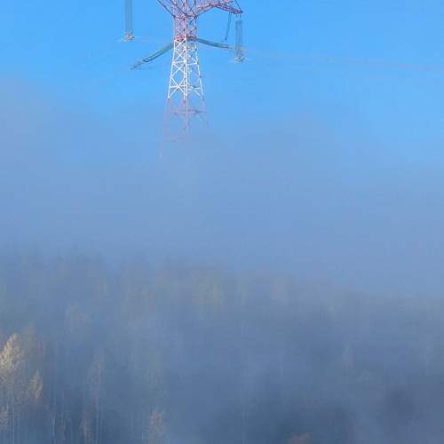 Photo #13347809