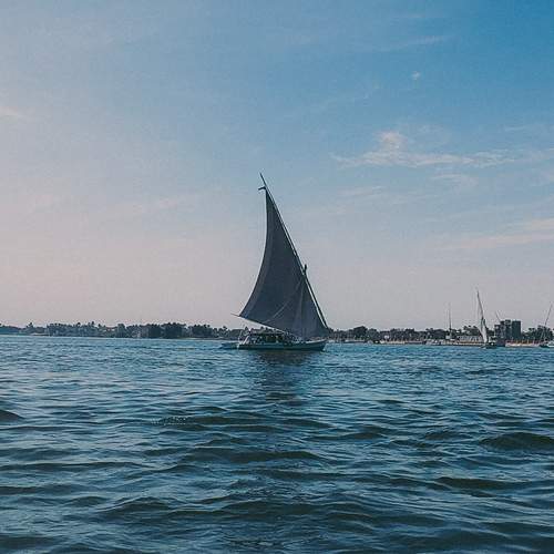 Photo #13347860