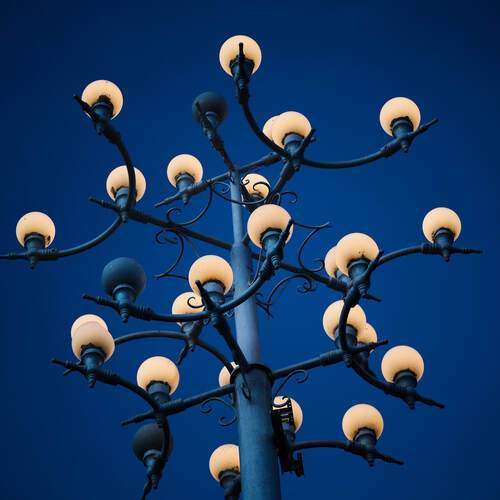 Photo #13347945