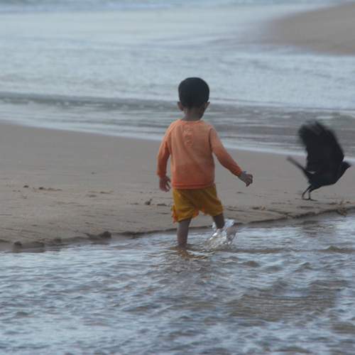 Photo #13348086