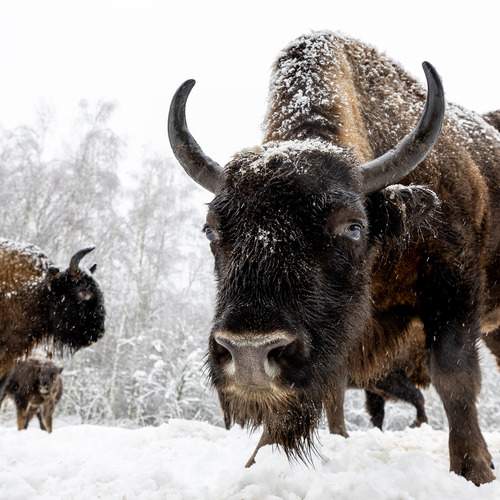 Фотография #13348100
