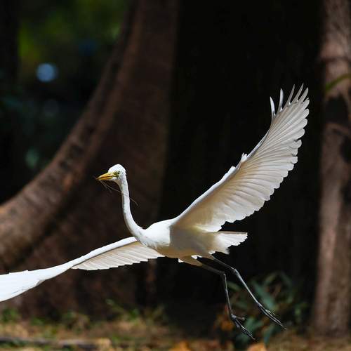 Фотография #13348122