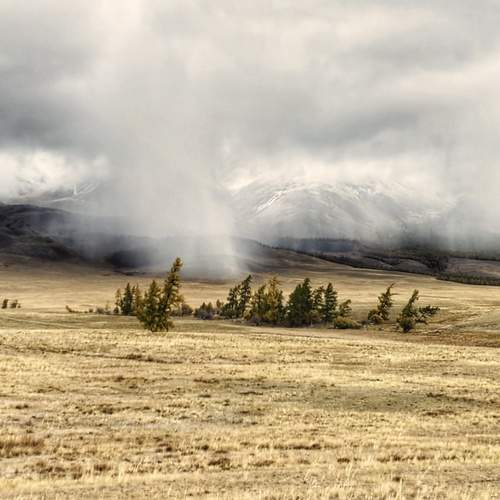 Photo #13348212