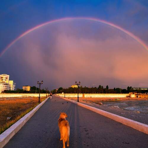 Photo #13348249