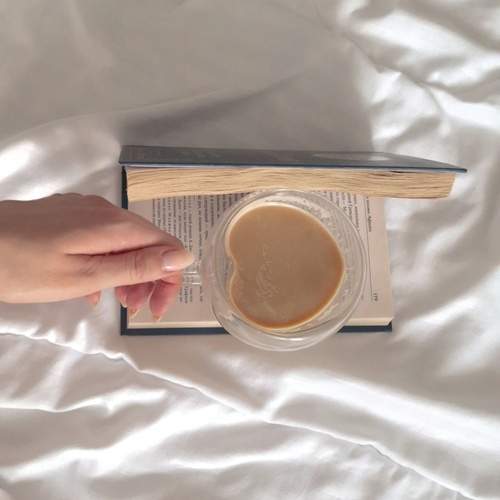 Photo #13348289