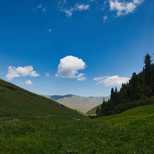 Photo #13348293