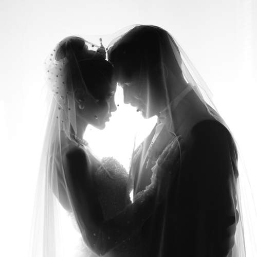 Photo #13348432