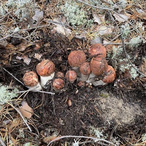 Photo #13348477