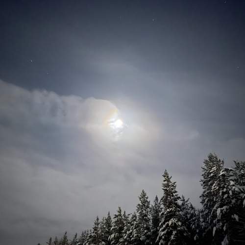 Photo #13348484