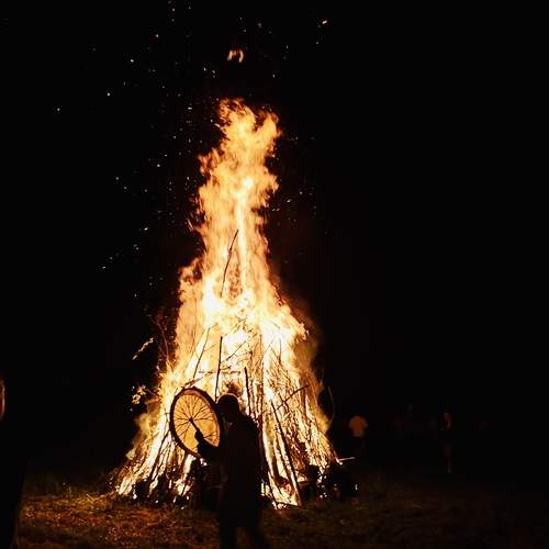 Photo #13348528