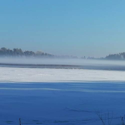 Photo #13348631