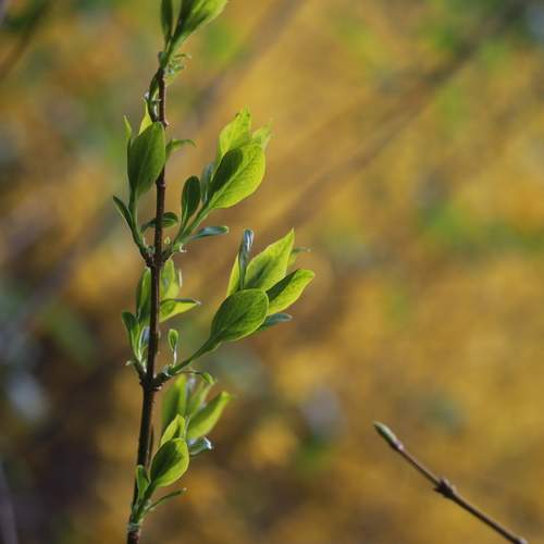 Photo #13348634