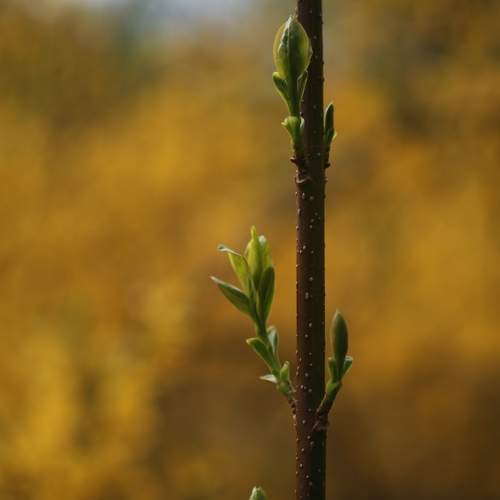 Photo #13348635