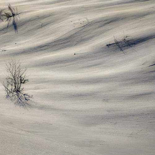 Photo #13348687