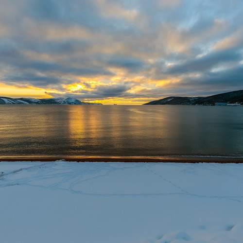 Photo #13348701