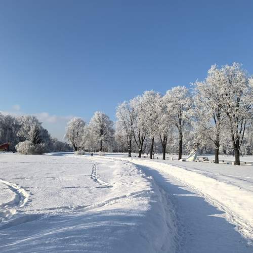 Photo #13348742