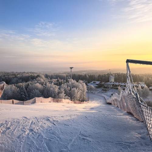Photo #13348748