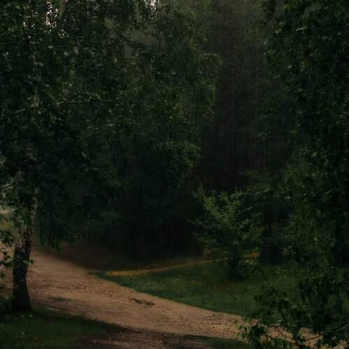 Photo #13348763
