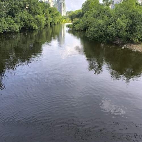 Photo #13348836