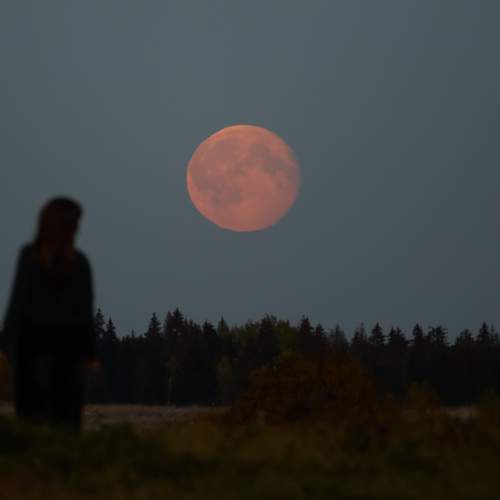Photo #13348884