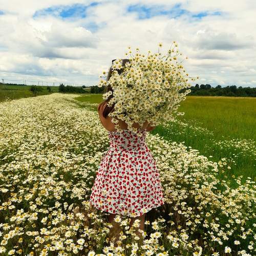 Photo #13348931