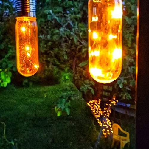 Photo #13348950