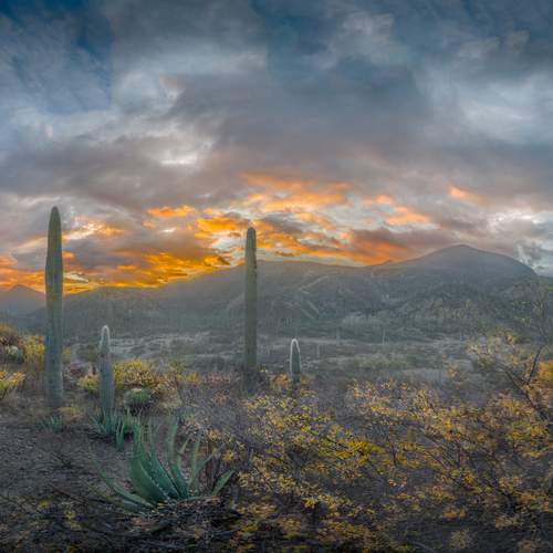 Фотография #13348994