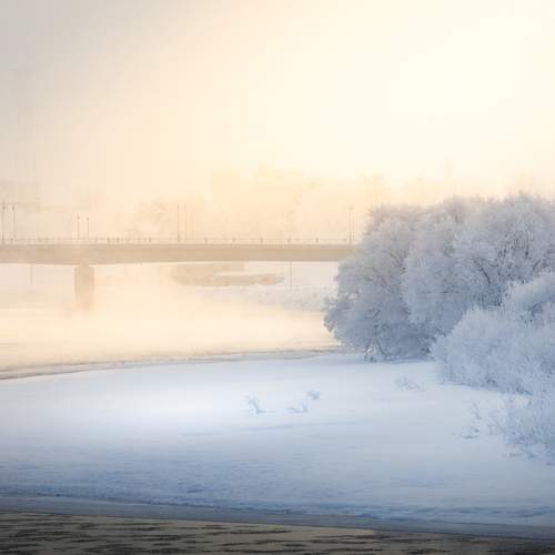 Photo #13349076