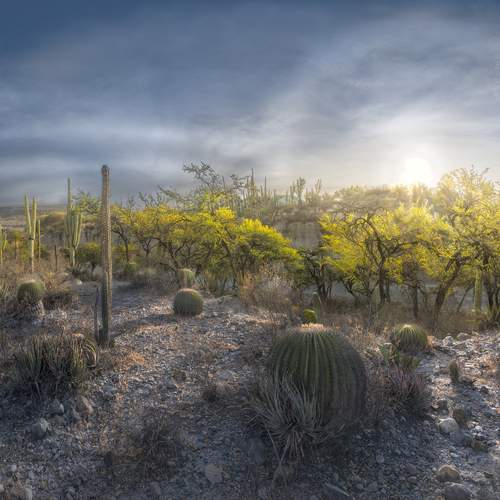 Фотография #13349103