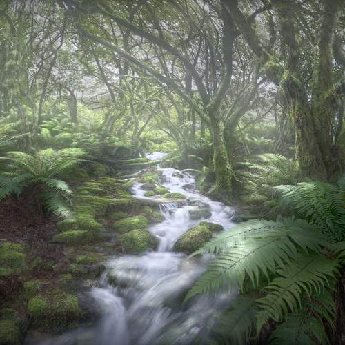 Фотография #13349144