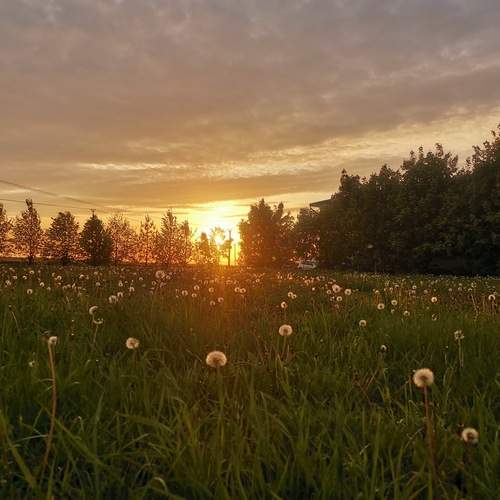 Photo #13349155