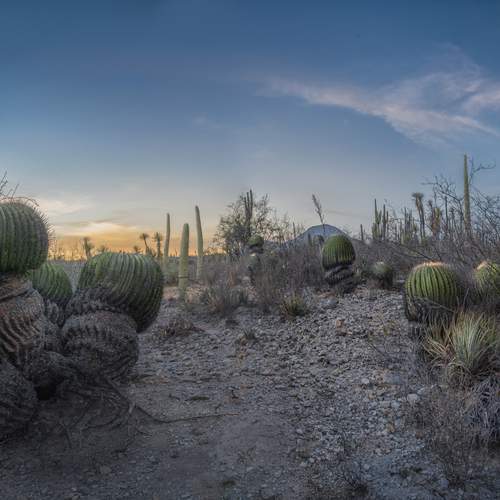 Фотография #13349177