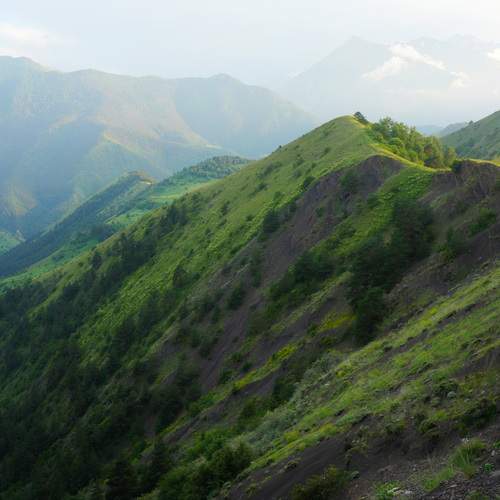 Photo #13349258