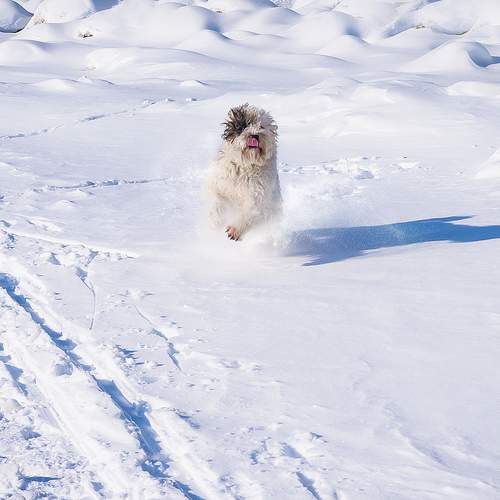 Photo #13349288
