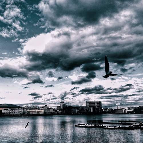 Буря, скоро грянет буря!....