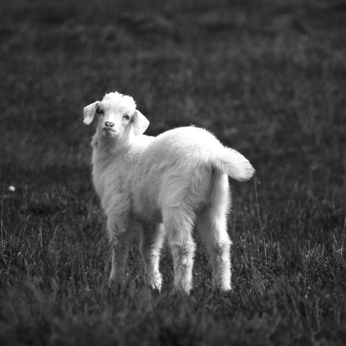 Photo #13349662