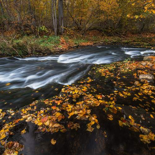 Photo #13349773