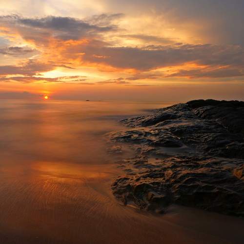 Photo #13349795