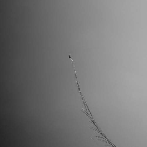 Photo #13349801